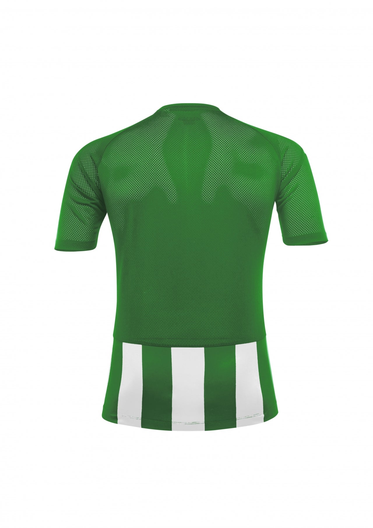 Johan Jersey Short Sleeve Green/White
